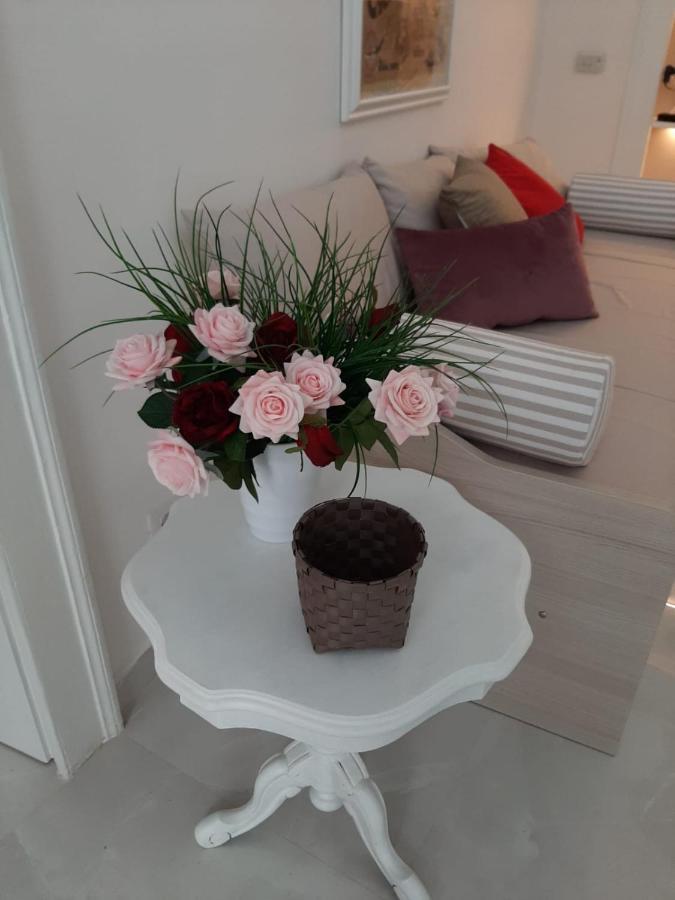 La Vie En Rose - Casa Vacanze Diamante Exterior foto